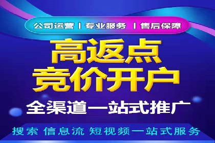深度解析百度竞价包年服务：某行业领先企业的营销策略